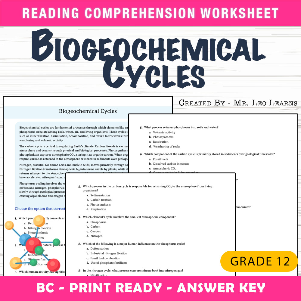 Grade 12 Science worksheet mcq paper worksheet — Grade 12 Science — Worksheet MCQ Paper for Mastering Biogeochemical Cycle…