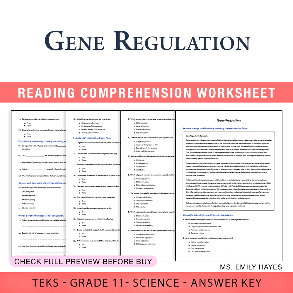 Grade 11 Science worksheet worksheet — 11th Grade Science | Gene Regulation Worksheet (PDF+ Answer Key) — page 1