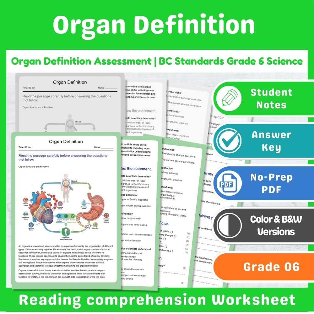 Grade 6 Science | Cell Structures & Systems Assessment – Standards-Aligned — included worksheet 5
