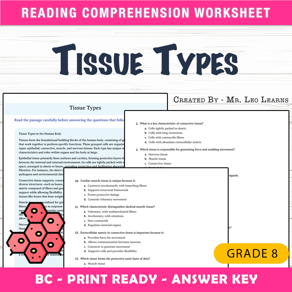 Grade 8 Science worksheet mcq paper worksheet — Grade 8 Science — Tissue Types Worksheet MCQ Paper for Mastery — page 1