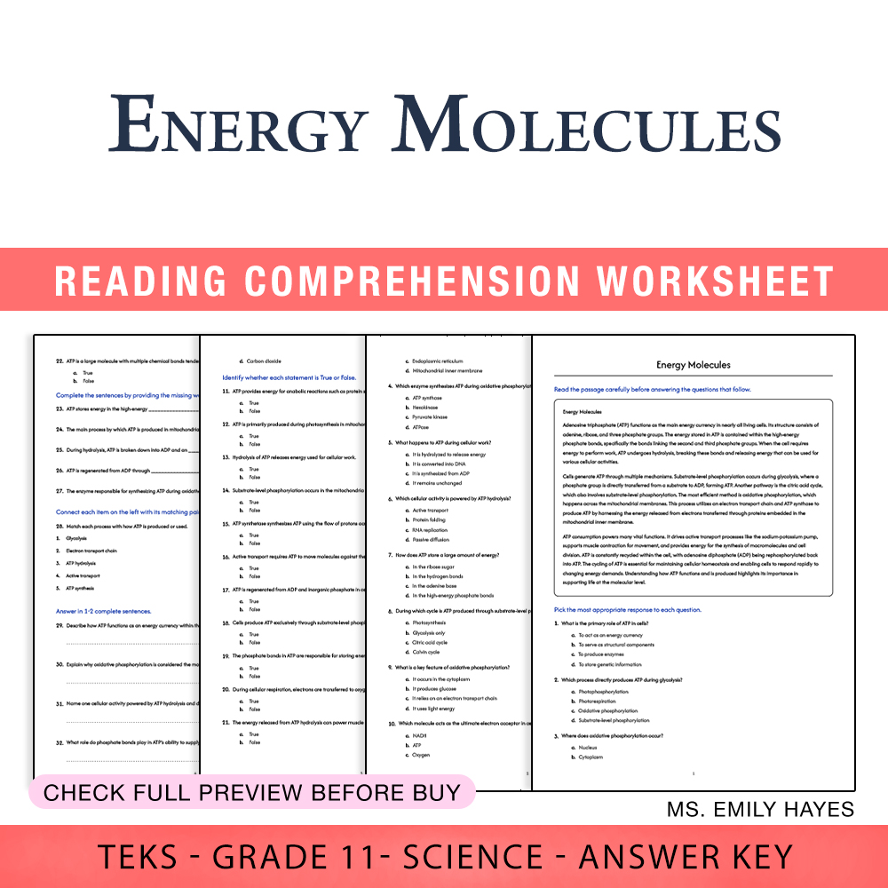Grade 11 Science worksheet worksheet — Grade 11 Science | Energy Molecules Worksheet (PDF+ Answer Key) — page 1