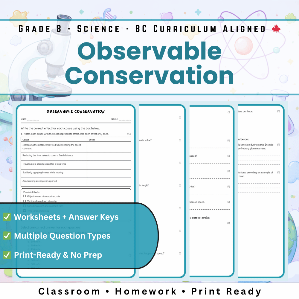 Grade 8 Science | Observable Conservation Worksheet (Worksheet + Answer Key)