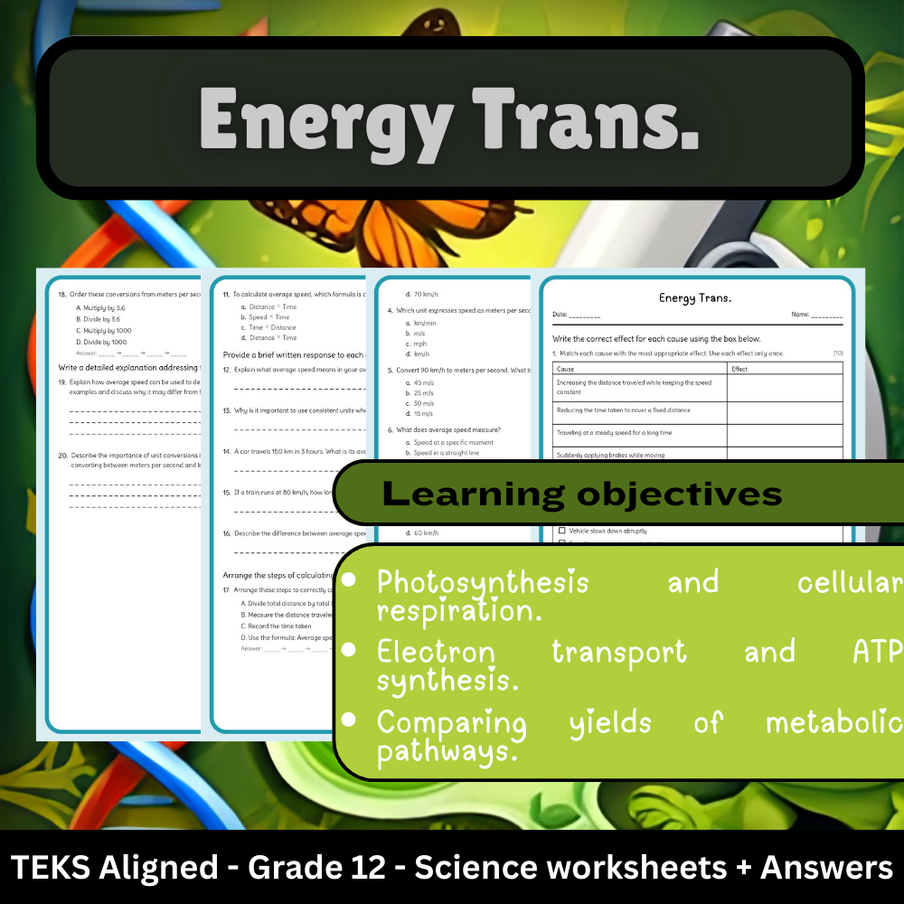 Grade 12 Science | Energy Transformations Worksheet + Answer Key — TEKS Aligned