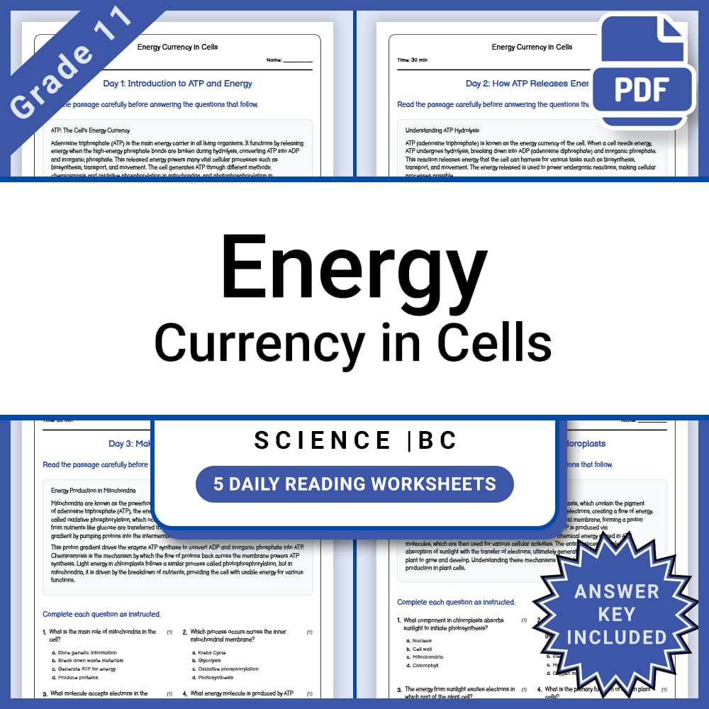 Grade 11 Science Lesson Bundle BC Framework | STEM & Core Concepts — included worksheet 10