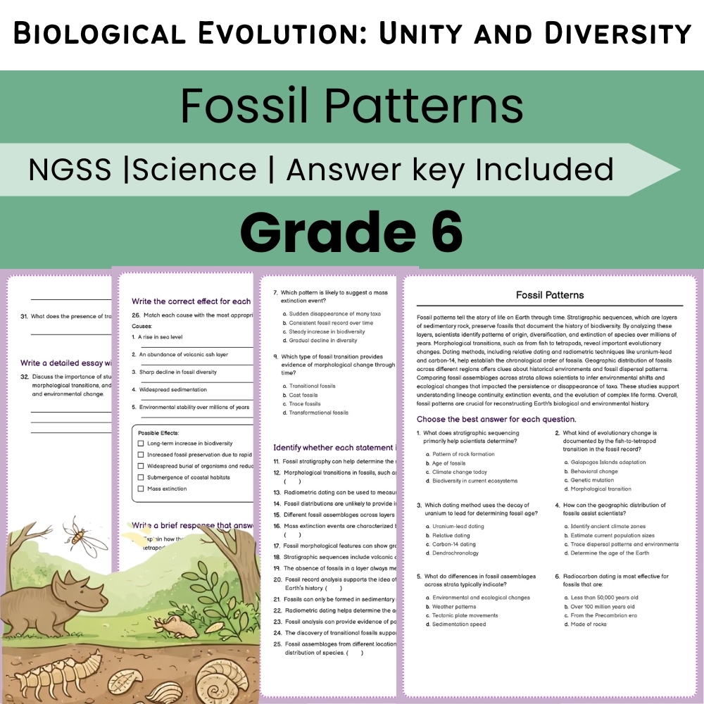 Grade 6 Science NGSS Worksheet Bundle | Comprehensive STEM Practice Pack — included worksheet 31