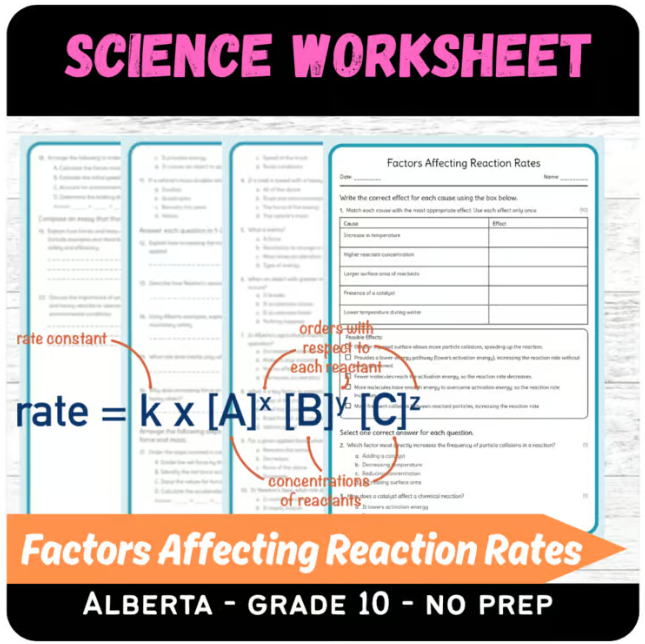 Grade 10 Science | Factors Affecting Reaction Rates Worksheet (PDF)