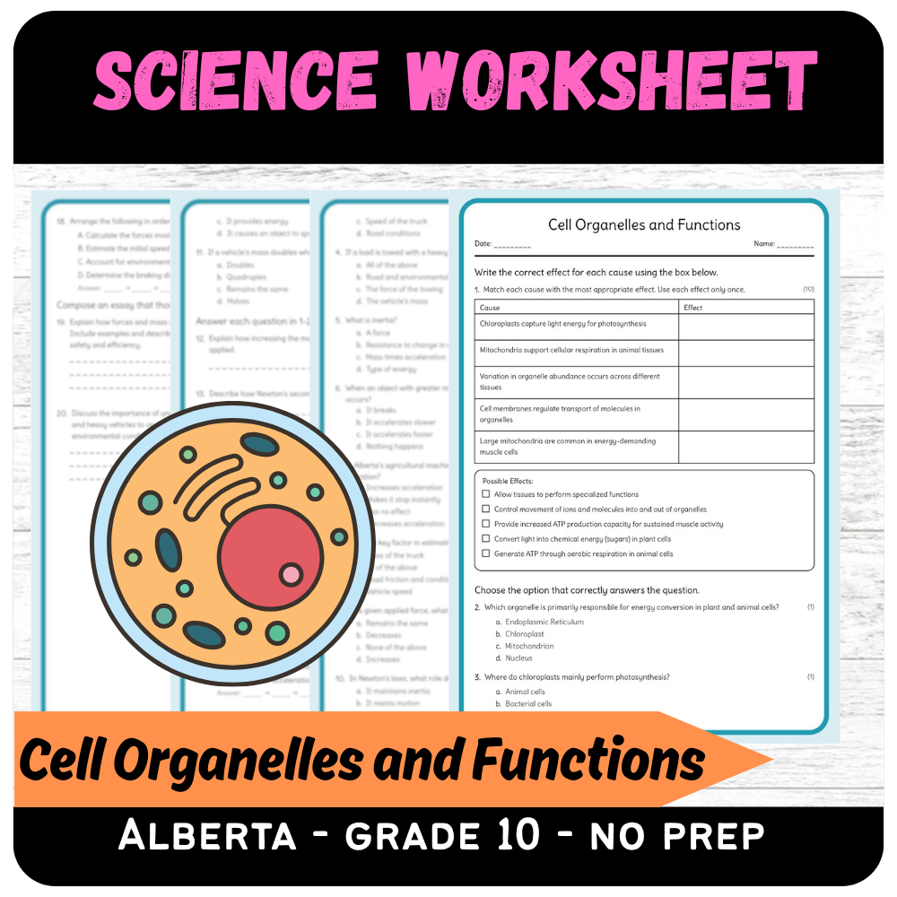 Grade 10 Science | Cell Organelles & Functions Worksheet (PDF)