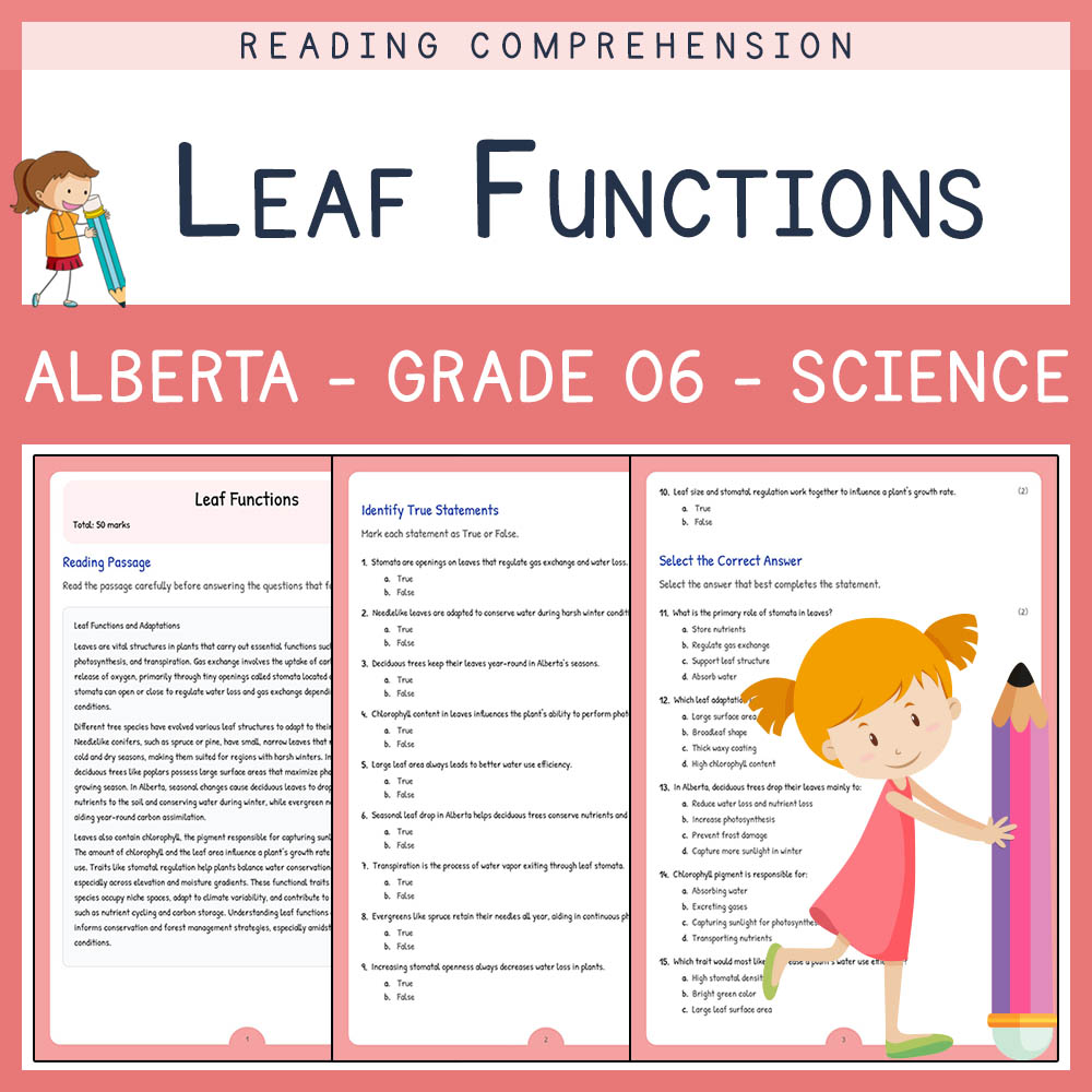 Grade 6 Science worksheet elena worksheet — Grade 6 Science Assessment | Leaf Functions Worksheet | Alberta Standard — page 1