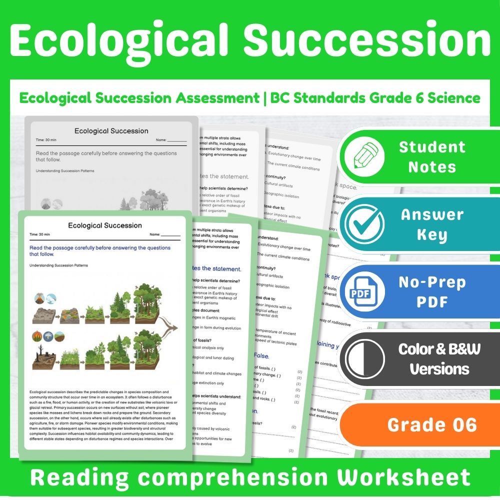 Grade 6 Science – Ecosystems Assessment & Ecology Lesson Bundle | Standards-Aligned — included worksheet 7