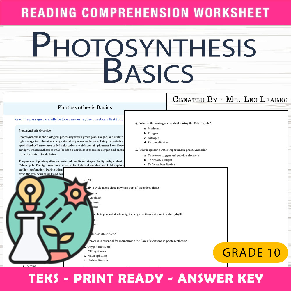 Grade 10 Science worksheet worksheet — Grade 10 Science – Photosynthesis Basics Worksheet for Mastery — page 1