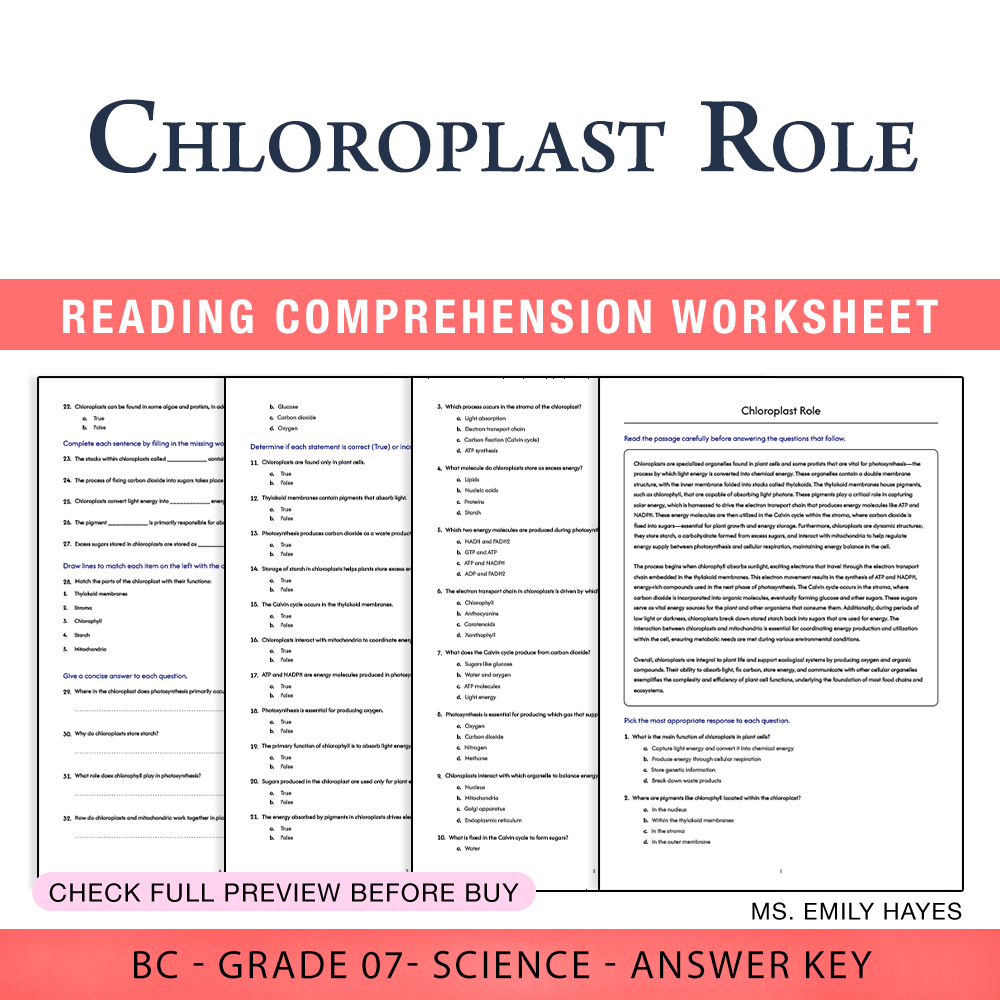 Grade 7 Science worksheet worksheet — 7th Grade Science | Chloroplast Role Worksheet (PDF+ Answer Key) — page 1