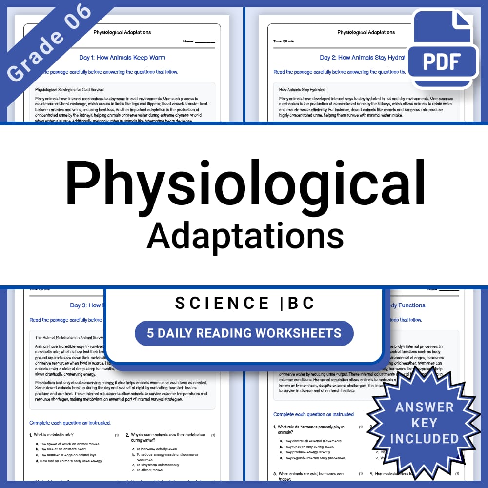 Grade 6 Science Lesson Group Bundle | Inquiry-Based Science Activities — included worksheet 7