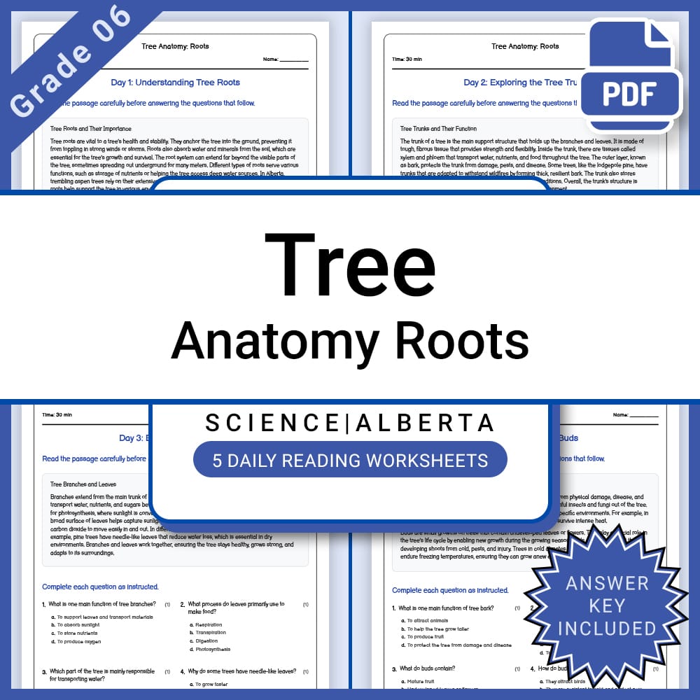 Grade 6 Science Full Year Bundle | Weather, Ecosystems, Flight & Space — included worksheet 32