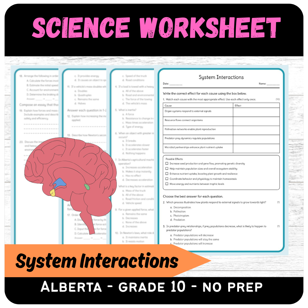 Grade 10 Science – System Interactions Worksheet (PDF) | Alberta Standards
