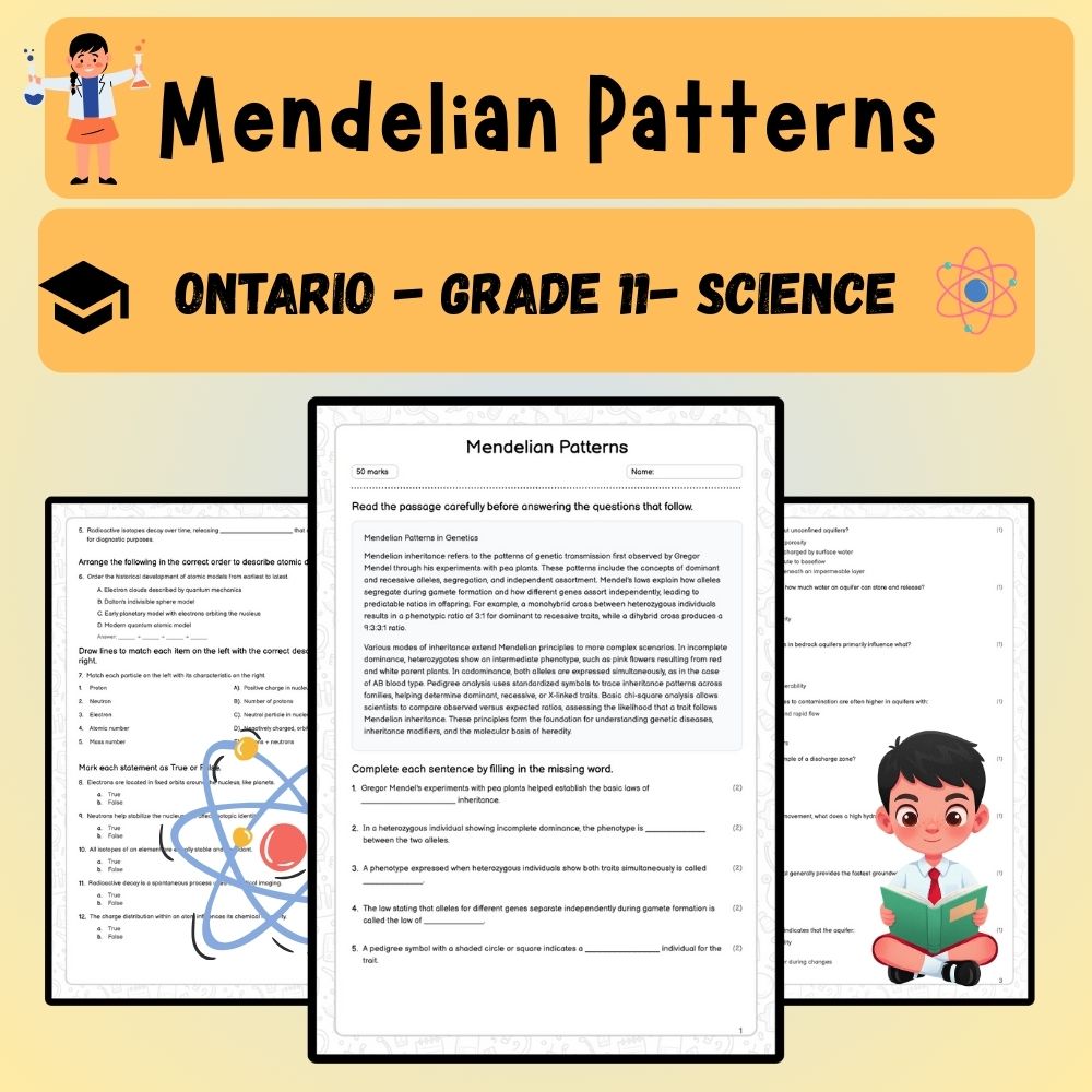 Grade 11 Science worksheet worksheet — Grade 11 Science – Mendelian Patterns Worksheet (Answer Key) | Ontario Standards —…