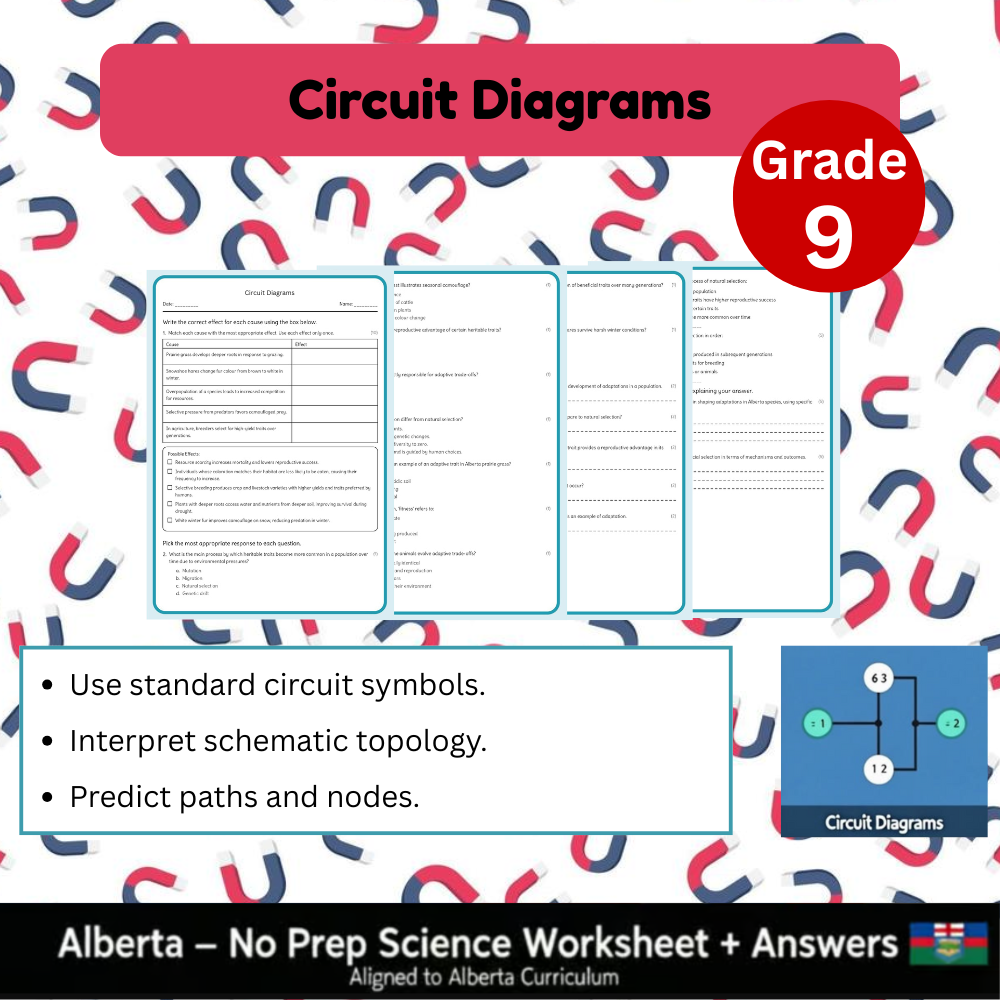 Grade 9 Science Worksheet Bundle | Genetics, Chemistry & Physics Concepts — included worksheet 34