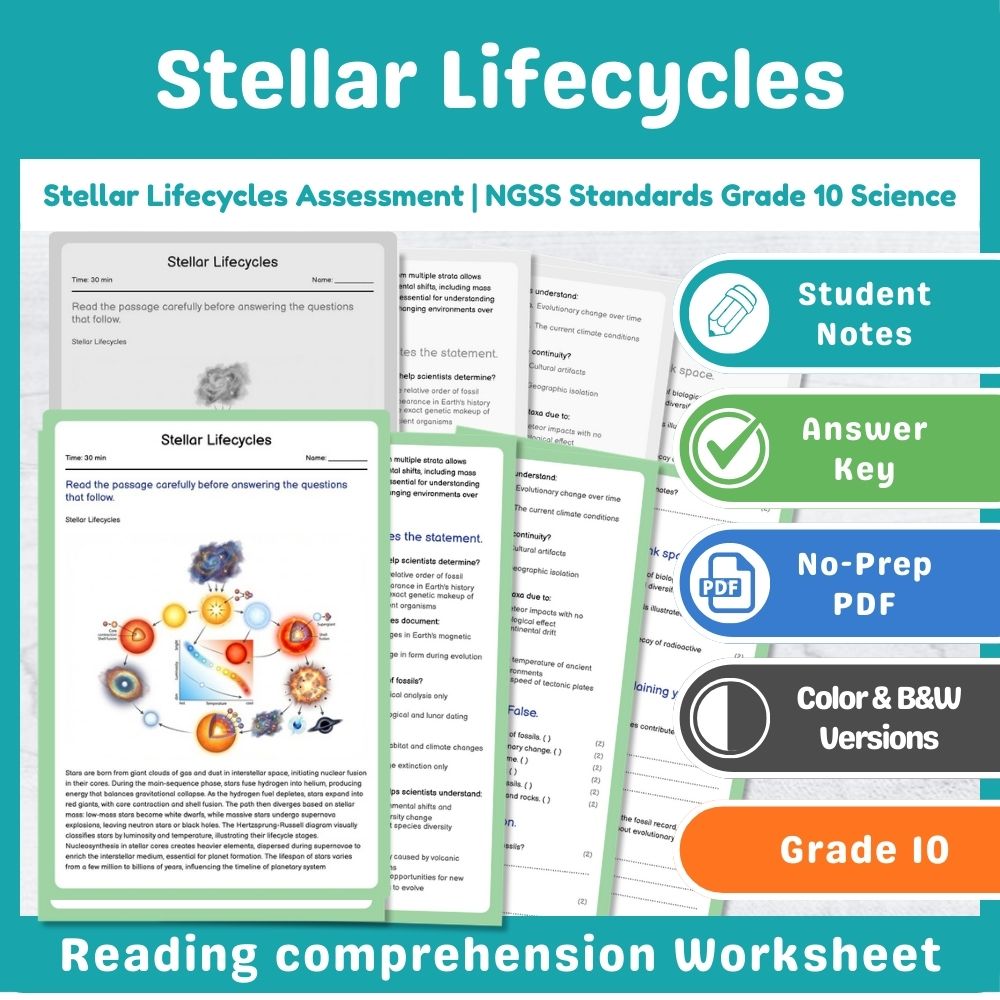 Grade 10 Science assessment worksheet — Stellar Lifecycles Assessment | NGSS Standards Grade 10 Science