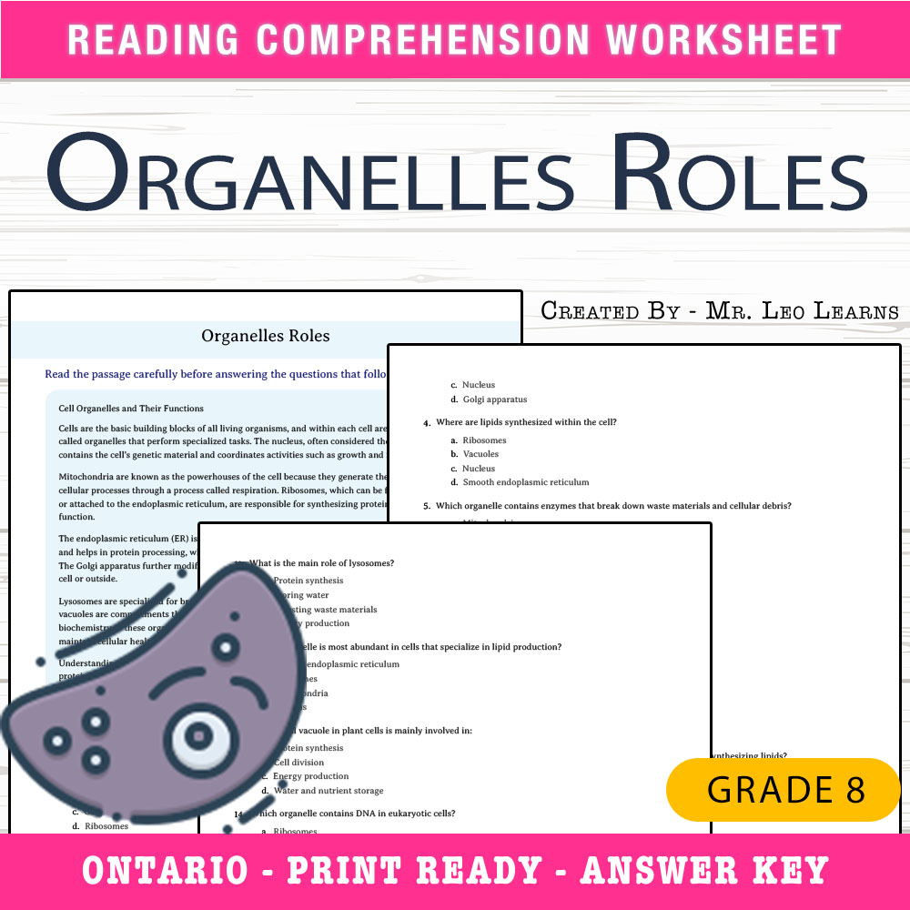 Grade 8 Science worksheet worksheet — Grade 8 Science — Organelles Roles Worksheet for Understanding Cell Functions — page 1