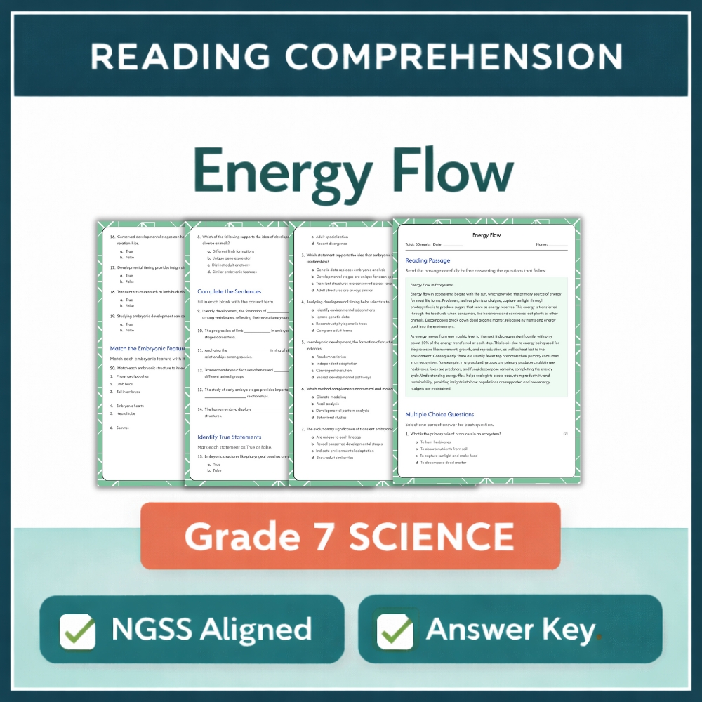7th Grade Science | Energy Flow Worksheet (NGSS Aligned) - Printable PDF