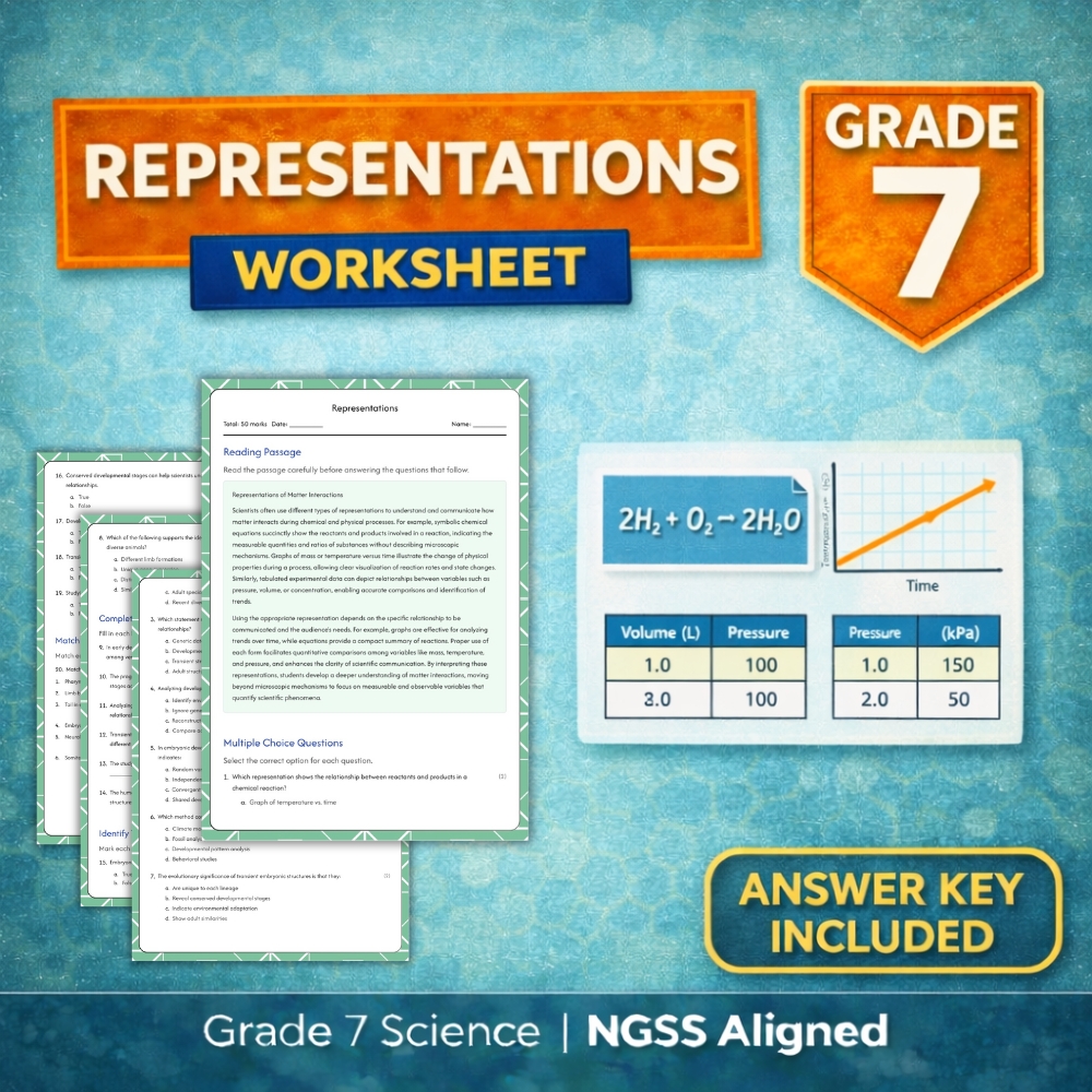 7th Grade Science | Representations Worksheet (NGSS) Printable PDF