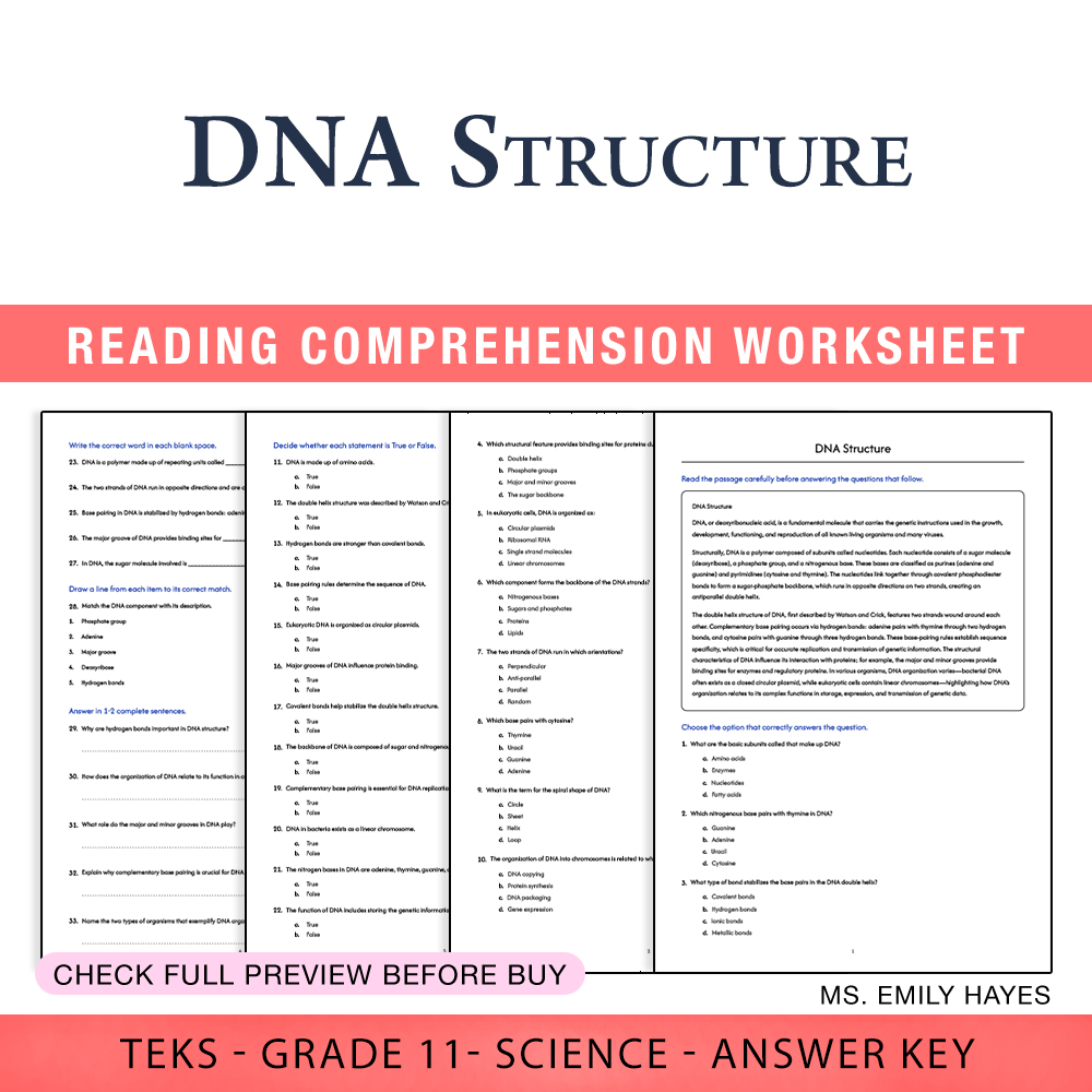 Grade 11 Science worksheet worksheet — Grade 11 Science | DNA Structure Worksheet (PDF+ Answer Key) — page 1