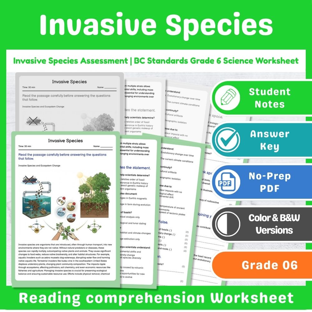 Grade 6 Science – Ecosystems Assessment & Ecology Lesson Bundle | Standards-Aligned — included worksheet 8