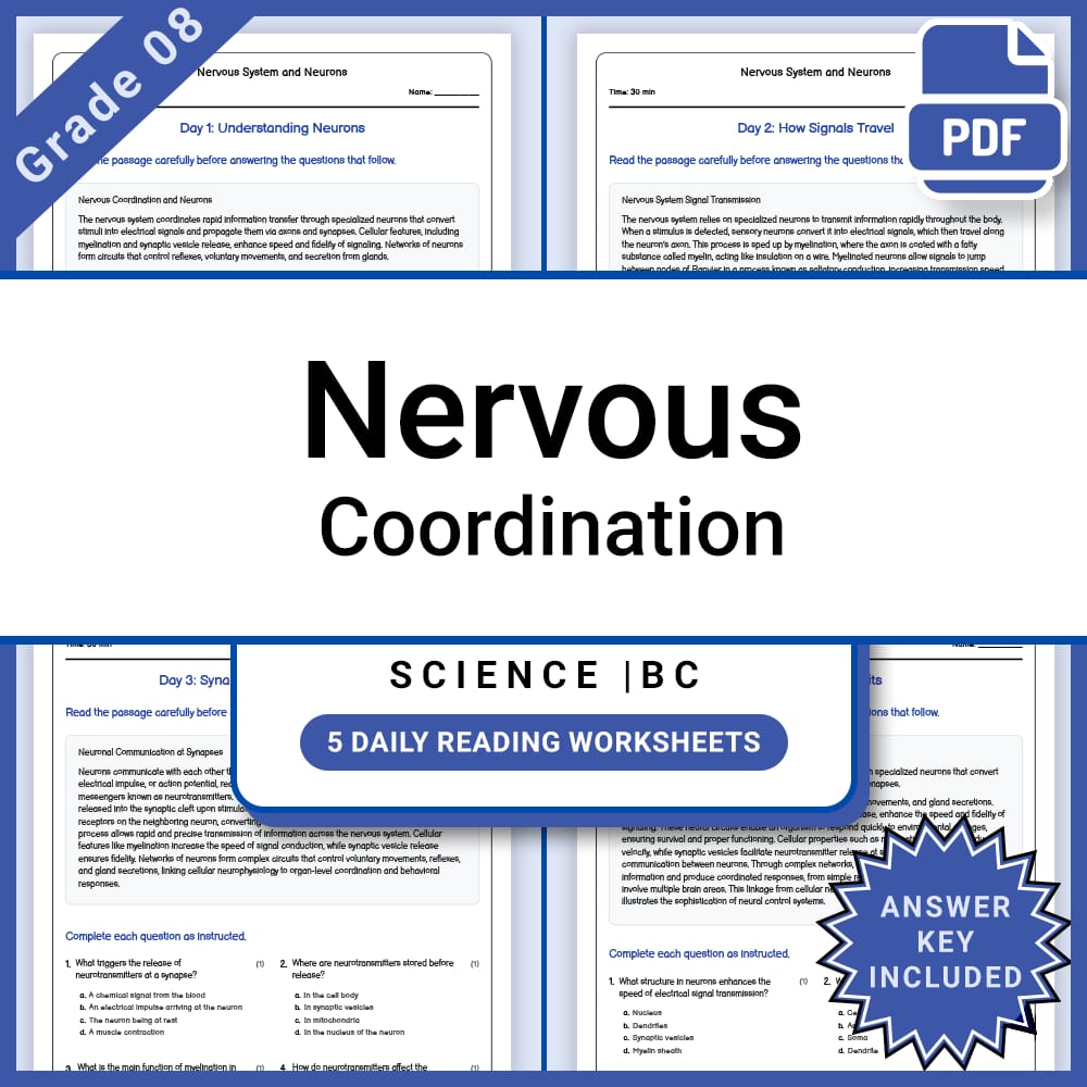 Grade 8 Science Lesson Group BC Framework | Daily Reading Worksheets — included worksheet 8