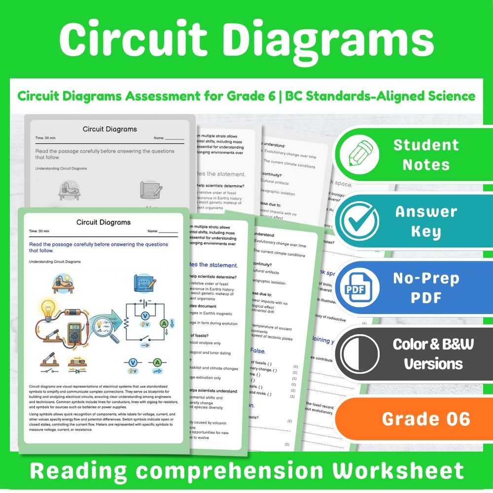 Grade 6 Science Assessment | Wave Interactions & Light Physics Mini Bundle — included worksheet 5