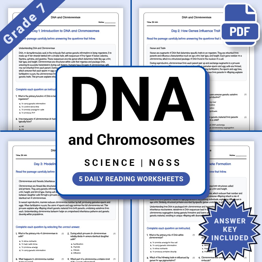 Grade 7 Science daily reading worksheet worksheet — Grade 7 Science – DNA and Chromosomes Worksheet(PDF + Answer Key) — pa…