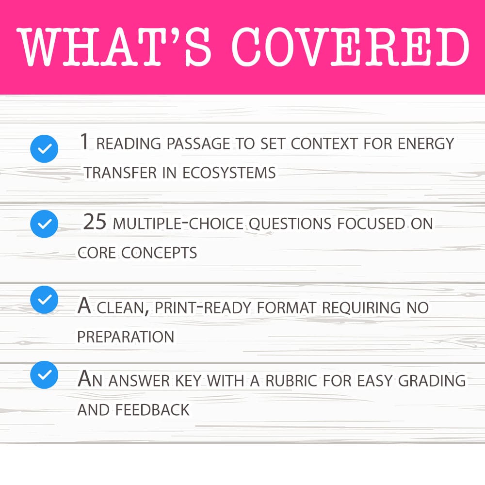 Grade 8 Science worksheet mcq paper worksheet — Grade 8 Science — Worksheet MCQ Paper for Mastering Energy Foundations — p…