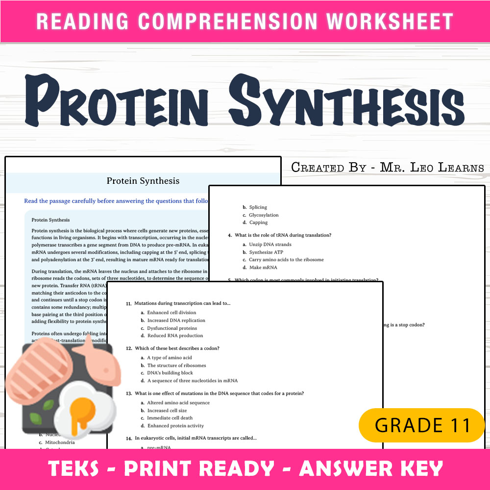 Grade 11 Science worksheet worksheet — Grade 11 Science – Protein Synthesis Worksheet for Mastery — page 1