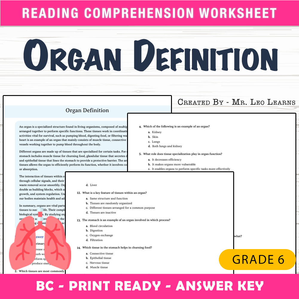 Grade 6 Science worksheet mcq paper worksheet — Grade 6 Science – Organ Definition Worksheet MCQ Paper for Mastery — page 1
