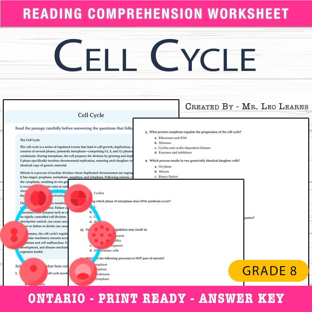 Grade 8 Science worksheet — Grade 8 Science – Cell Cycle Worksheet for Mastering Cell Division — page 1