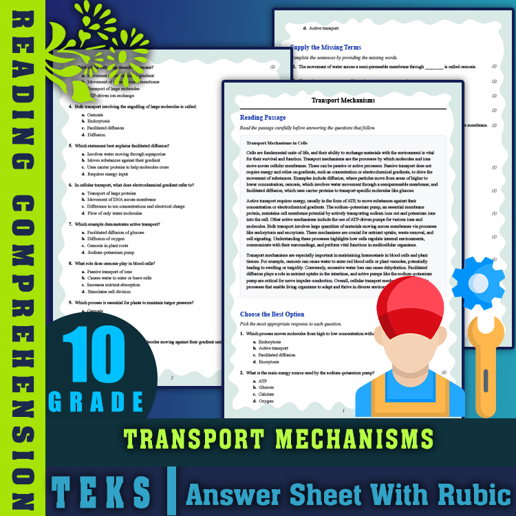 Grade 10 Science reading worksheets worksheet — 10th Grade Science | Transport Mechanisms Reading Worksheet & Answer Key (…