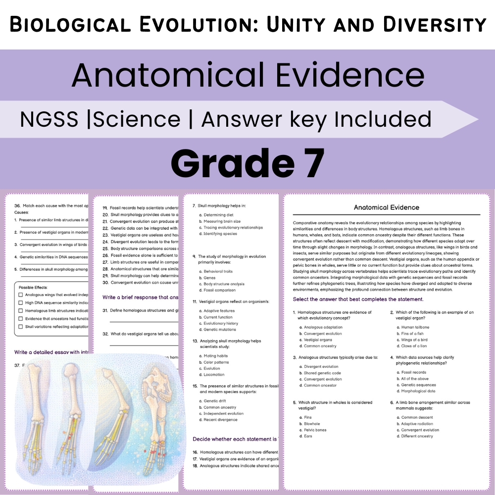 Grade 7 Science Lesson Bundle | Biological Evolution: Unity and Diversity — included worksheet 4