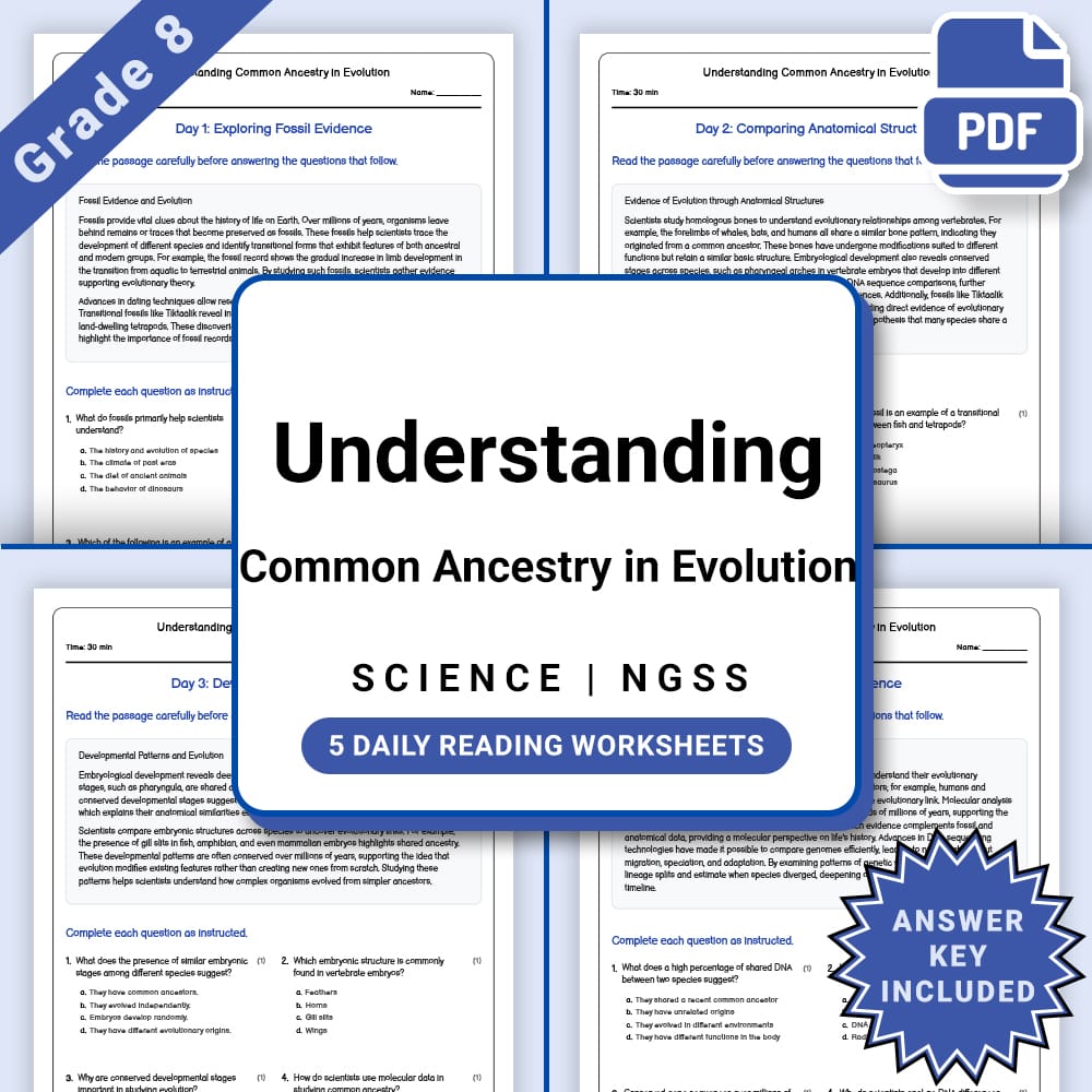 Grade 8 Science daily reading worksheet worksheet — Grade 8 Science – Understanding Common Ancestry in Evolution (PDF + An…