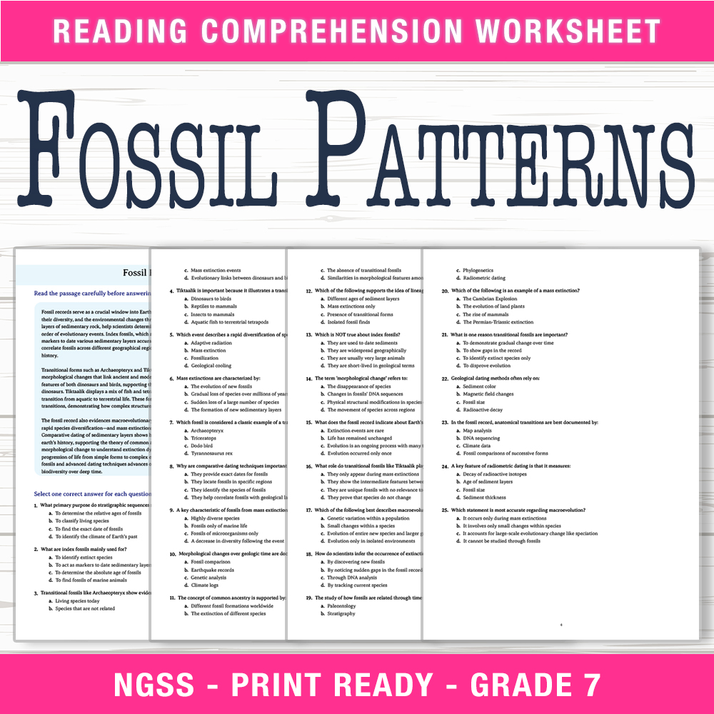Grade 7 Science worksheet worksheet — Grade 7 Science | Fossil Patterns Worksheet (PDF + Answer Key) — page 1