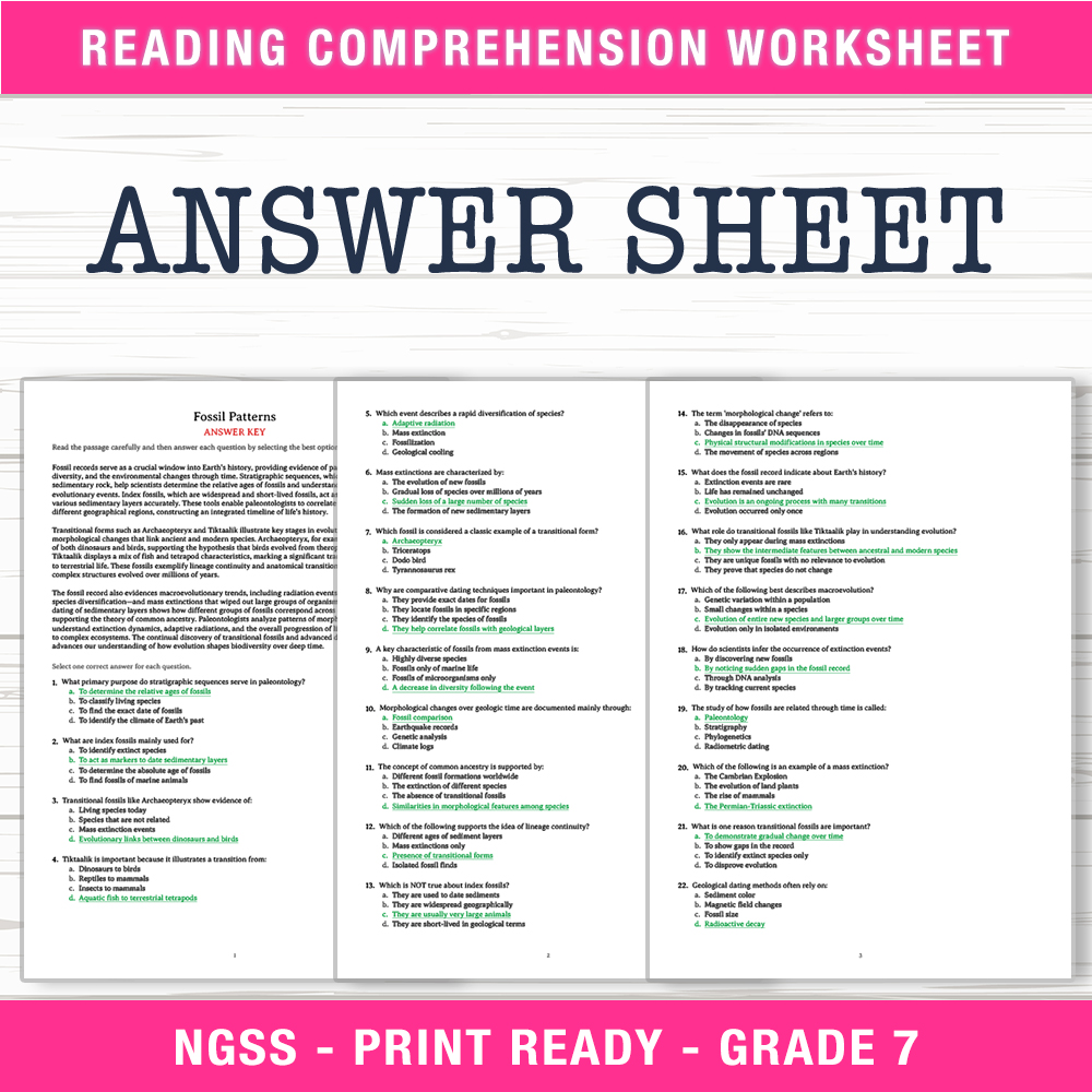 Grade 7 Science worksheet worksheet — Grade 7 Science | Fossil Patterns Worksheet (PDF + Answer Key) — page 2