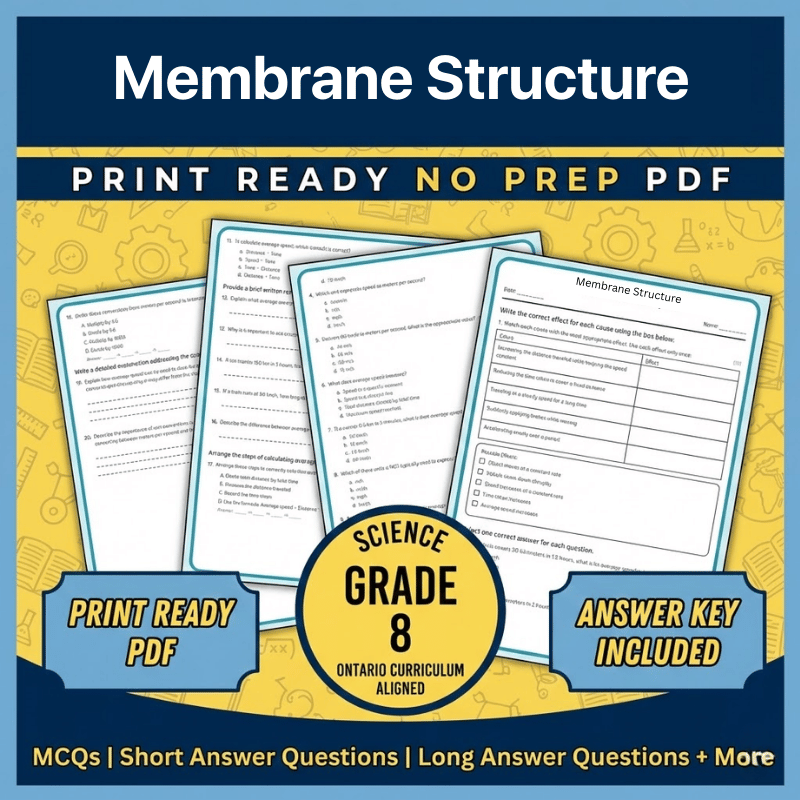 Grade 8 Science – Membrane Structure Worksheet (Ontario) (PDF)