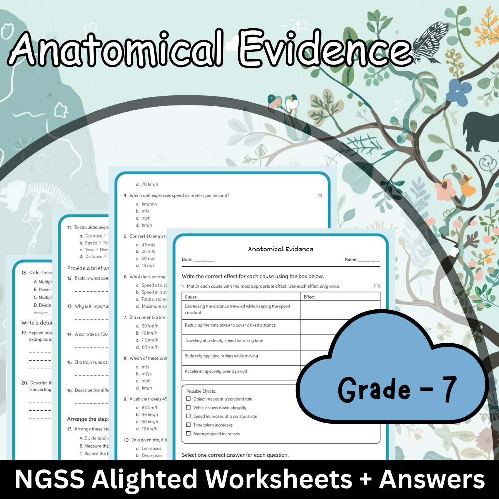 Grade 7 Science – Anatomical Evidence Worksheet (NGSS Aligned) – PDF