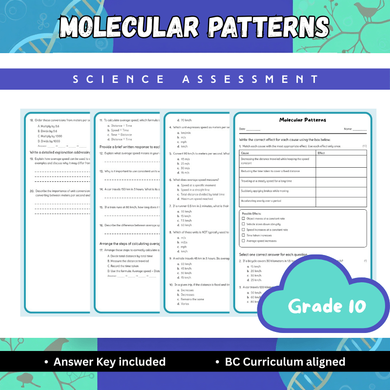 Grade 10 Science | Molecular Patterns Worksheet (Answer Key) – BC Standards