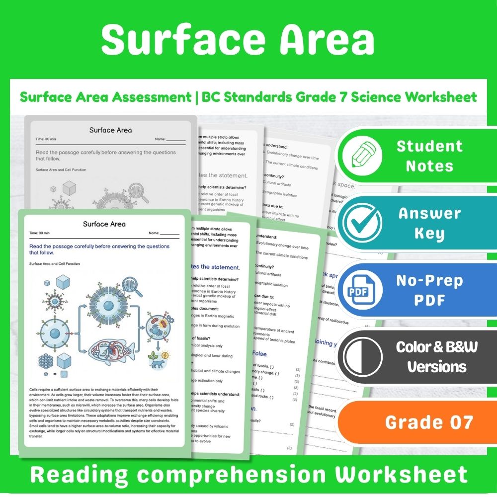Grade 7 Science | Cell Functions & Organization Assessment – Standards-Aligned — included worksheet 12