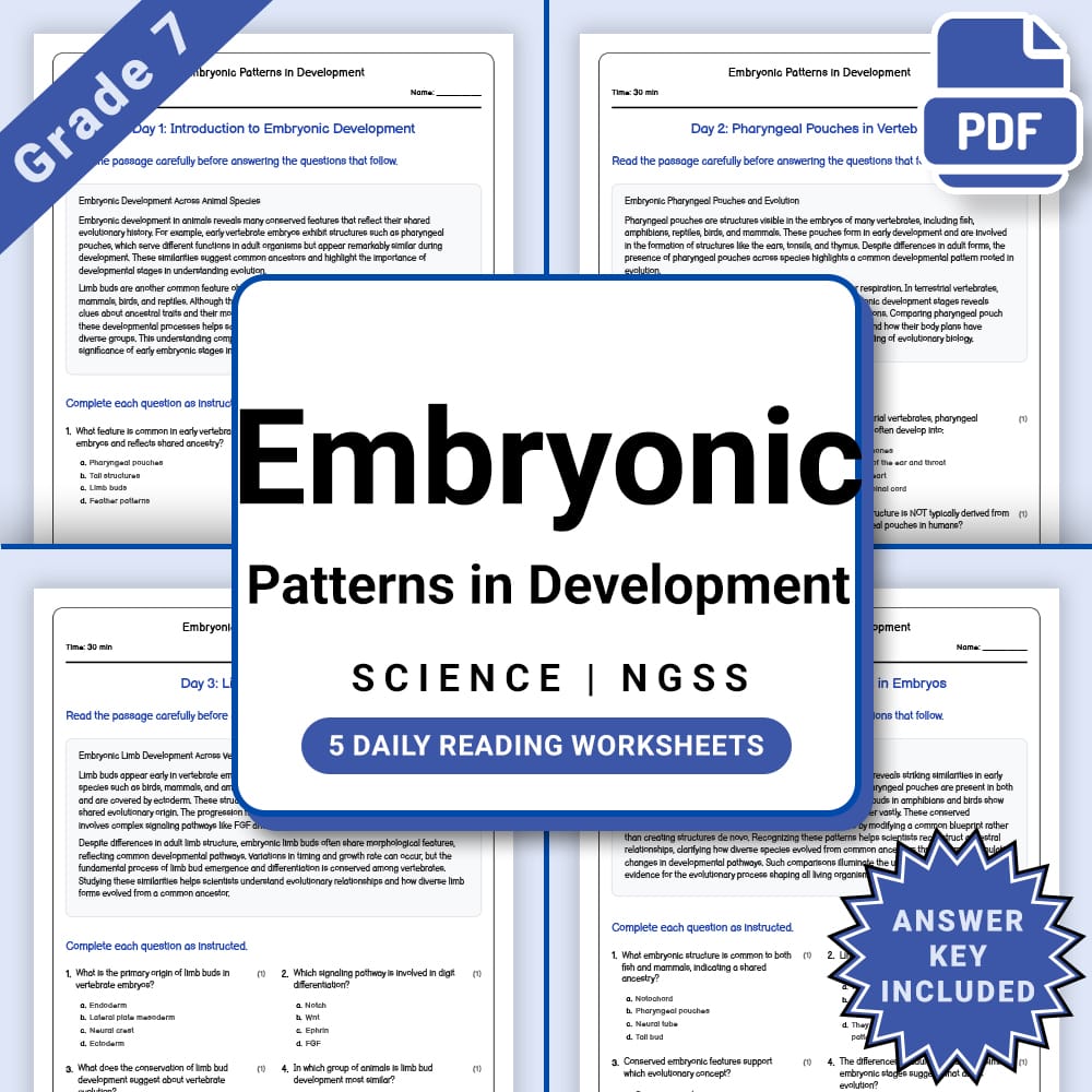 Grade 7 Science daily reading worksheet worksheet — Grade 7 Science – Embryonic Patterns in Development Worksheet(PDF + An…