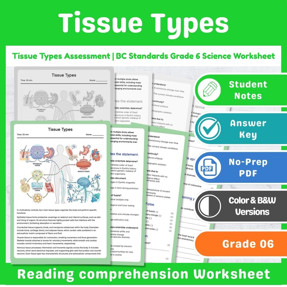 Grade 6 Science | Cell Structures & Systems Assessment – Standards-Aligned — included worksheet 7