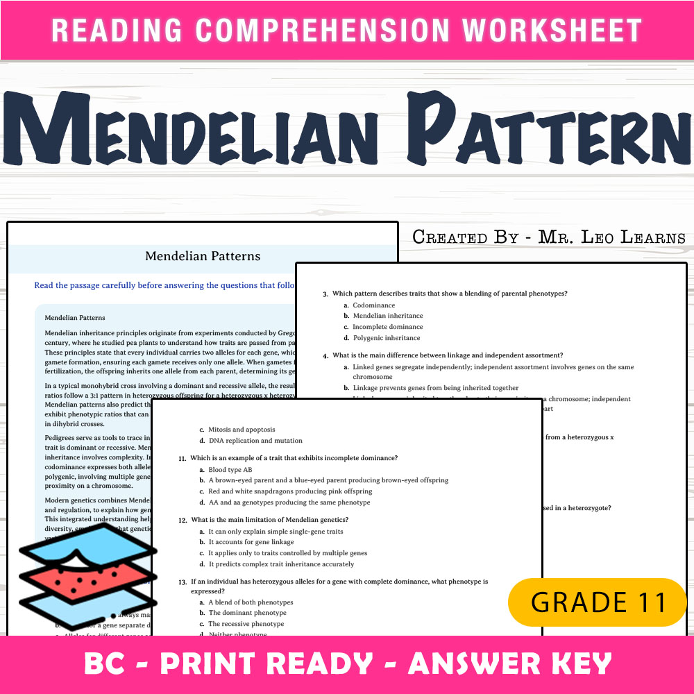 Grade 11 Science worksheet mcq paper worksheet — Grade 11 Science — Mendelian Patterns Worksheet MCQ Paper — page 1