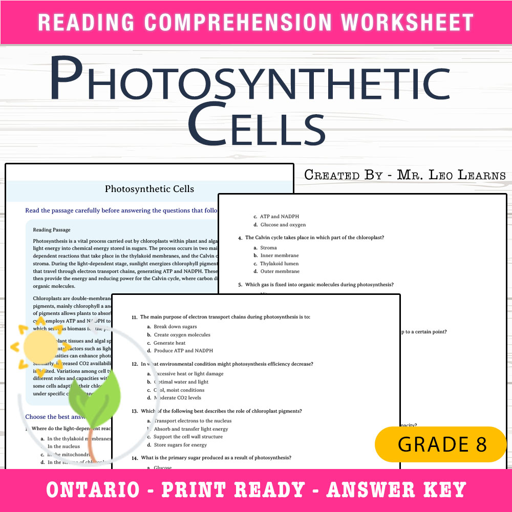 Grade 8 Science worksheet worksheet — Grade 8 Science — Photosynthetic Cells Worksheet for Mastering Photosynthesis — page 1