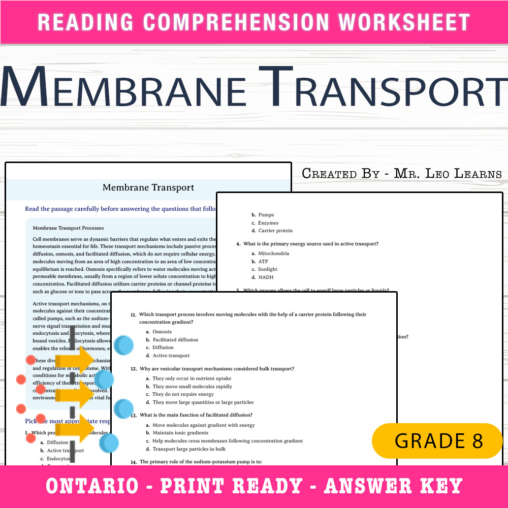Grade 8 Science worksheet worksheet — Grade 8 Science – Membrane Transport Worksheet for Mastery — page 1