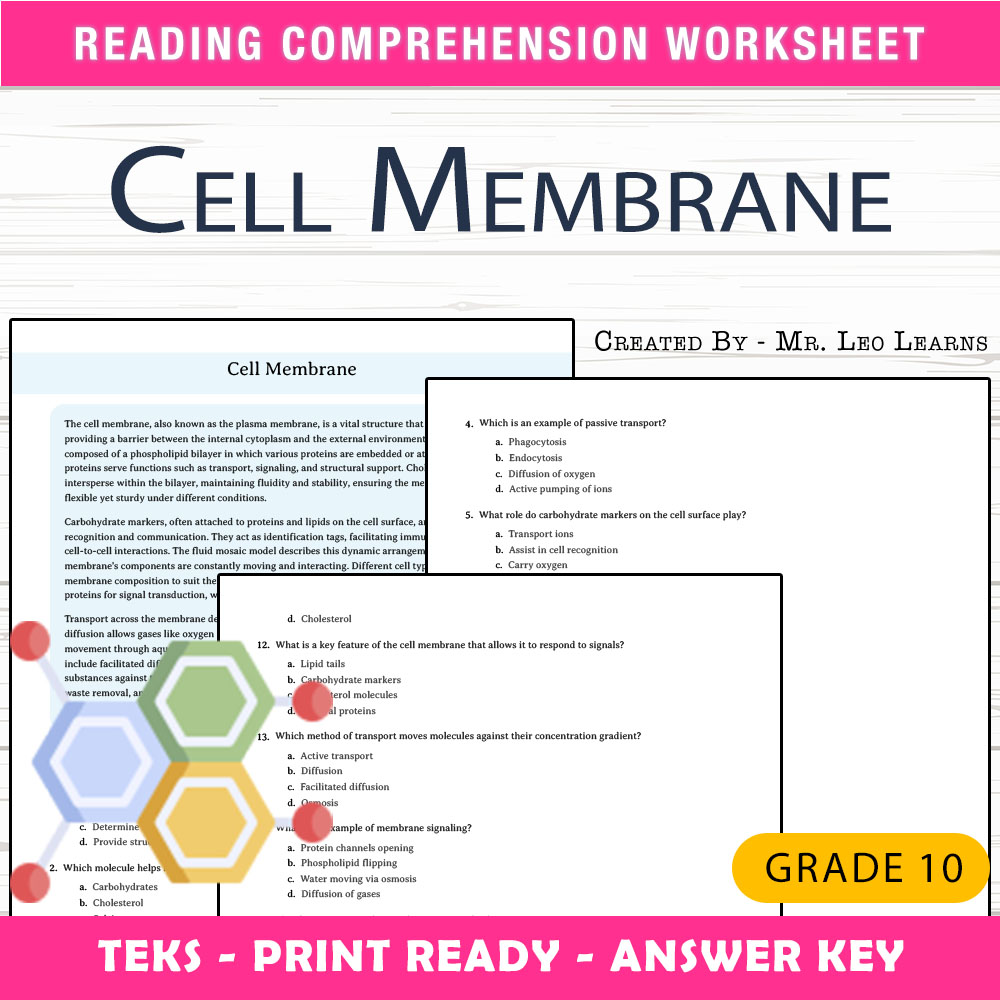 Grade 10 Science worksheet worksheet — Grade 10 Science – Cell Membrane Worksheet for Mastery — page 1