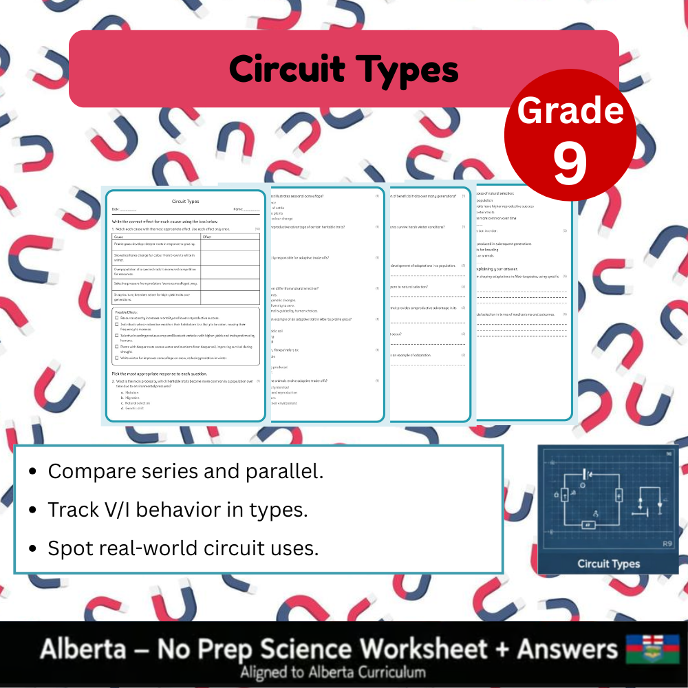 Grade 9 Science Worksheet Bundle | Genetics, Chemistry & Physics Concepts — included worksheet 39