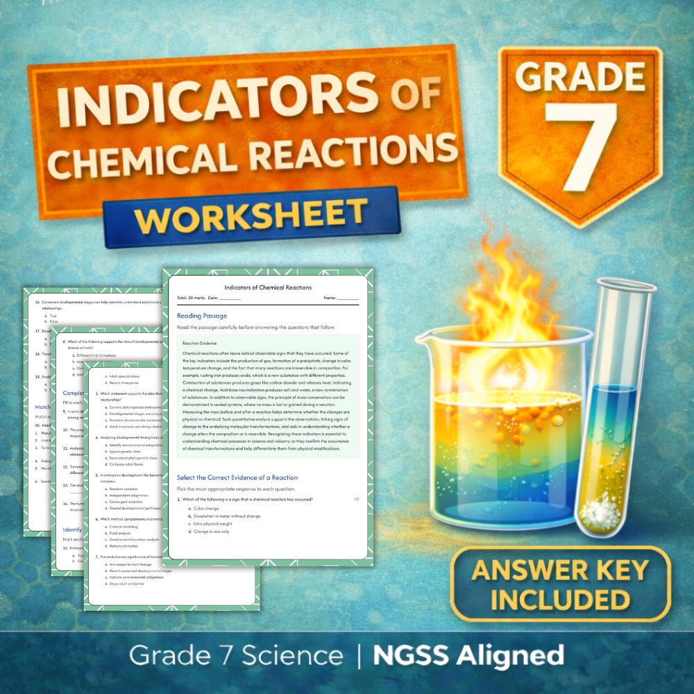 7th Grade Science | Indicators of Chemical Reactions Worksheet (NGSS) PDF